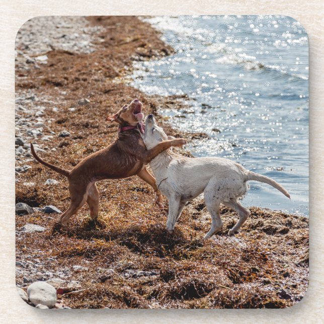 Dogs on beach coaster (Front)