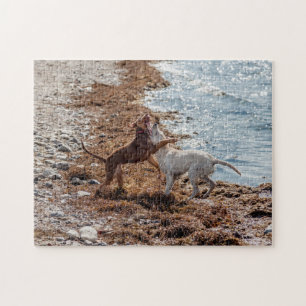 Dogs on beach jigsaw puzzle