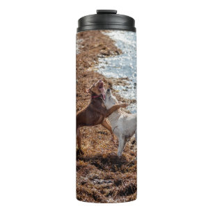 Dogs on beach thermal tumbler