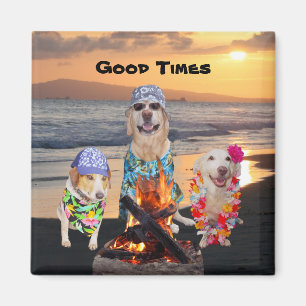 Dogs on the Beach at Sunset Magnet