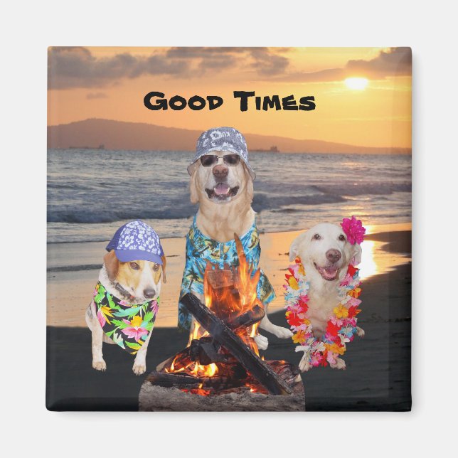 Dogs on the Beach at Sunset Magnet (Front)