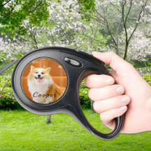 Dog's Outdoor Life Photo Retractable Pet Leash
