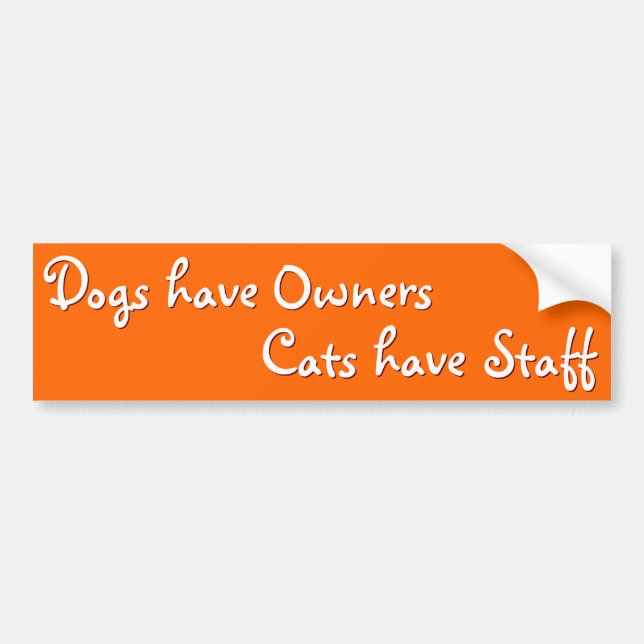 Dogs Owners Cats Staff Funny Humour Bumper Sticker (Front)