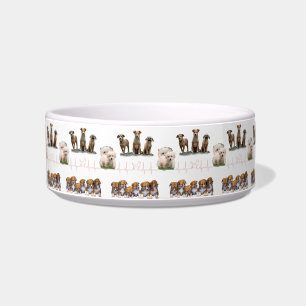 Dogs package, Funny Dogs package Bowl