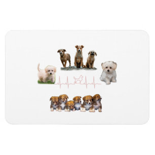 Dogs package, Funny Dogs package Magnet