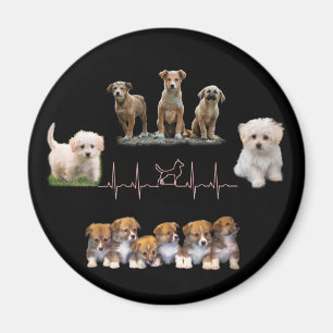 Dogs package, Funny Dogs package Magnet