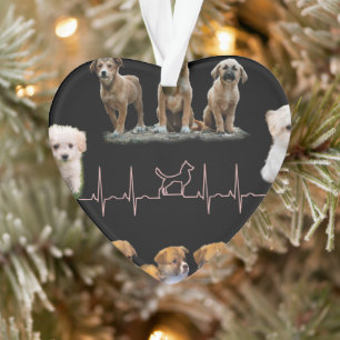 Dogs package, Funny Dogs package Ornament