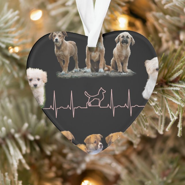 Dogs package, Funny Dogs package Ornament (Tree)