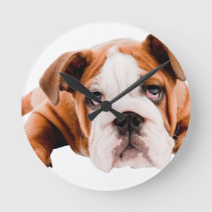 DOGS, PETS BULLDOG CUTE ADORABLE DIGITAL REALISM P ROUND CLOCK