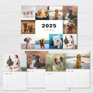 Dogs Photo Collage Modern 2025 Calendar