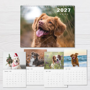 Dogs Photo Collage Modern 2027 Calendar