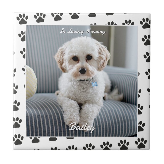 Dog's Photo, Name, In Loving Memory, Paw Prints Ceramic Tile (Front)