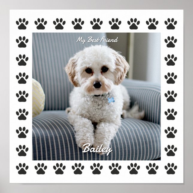 Dog's Photo, Name, My Best Friend, Paw Prints (Front)