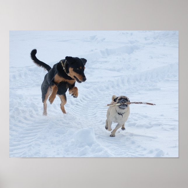 Dogs Playing in the Snow Poster (Front)