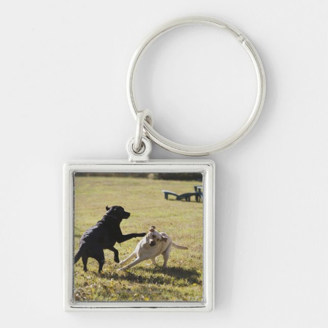 Dogs playing key ring (Front)