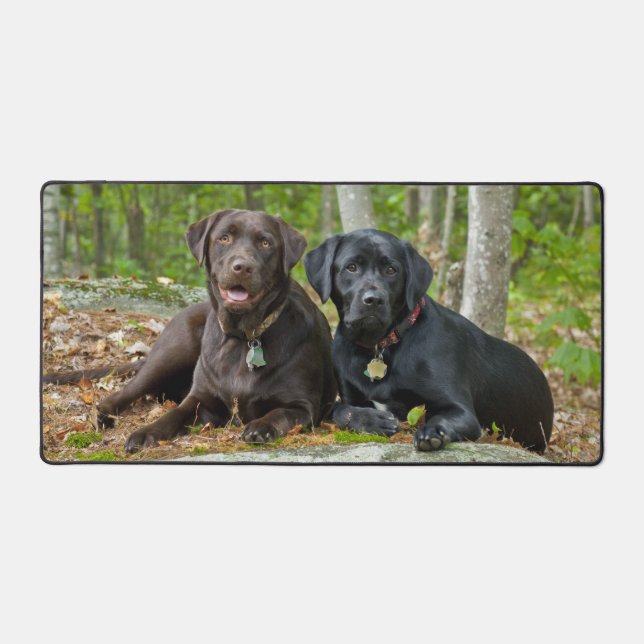 Dogs Puppies Black Lab Chocolate Labrador Retrieve Desk Mat (Front)