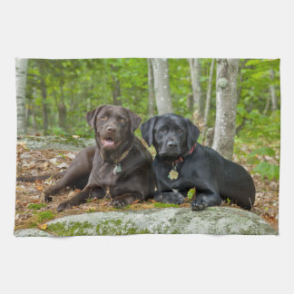 Dogs Puppies Black Lab Chocolate Labrador Retrieve Tea Towel
