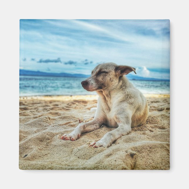 Dog's Relaxing Day at the Beach, Ocean Sand & Sun Magnet (Front)