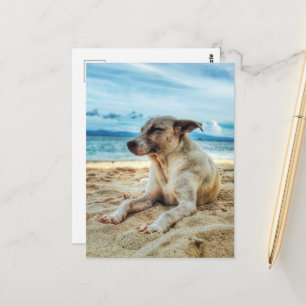 Dog's Relaxing Day at the Beach, Ocean Sand & Sun Postcard