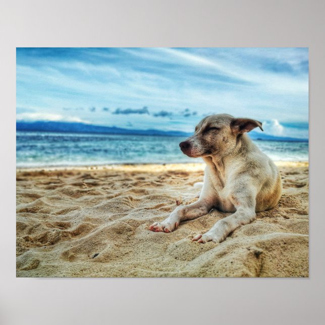 Dog's Relaxing Day at the Beach, Ocean Sand & Sun Poster (Front)