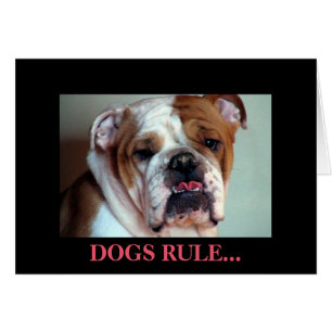 Dogs rule.