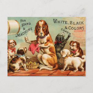 Dogs Sewing Postcard