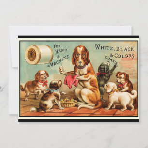 Dogs Sewing Postcard
