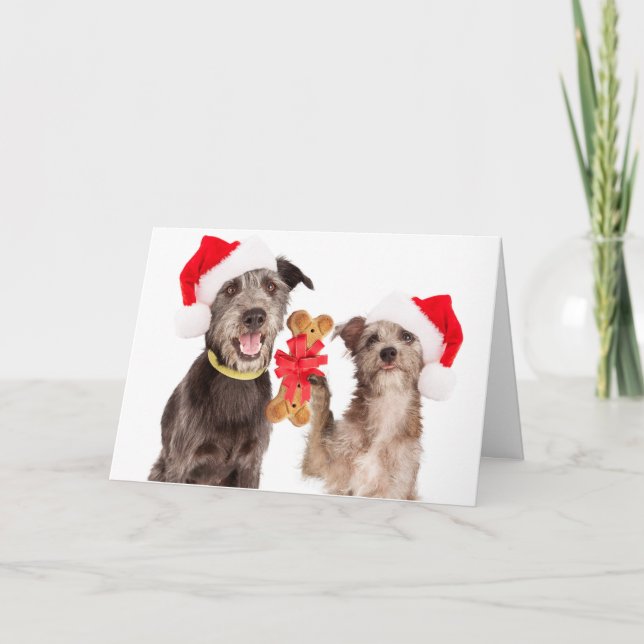 Dogs Sharing HOWLiday cheer Christmas Card (Front)
