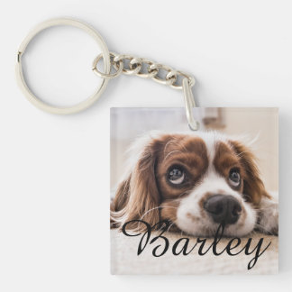Dog's Simple Modern Elegant Chic Name and Photo Key Ring