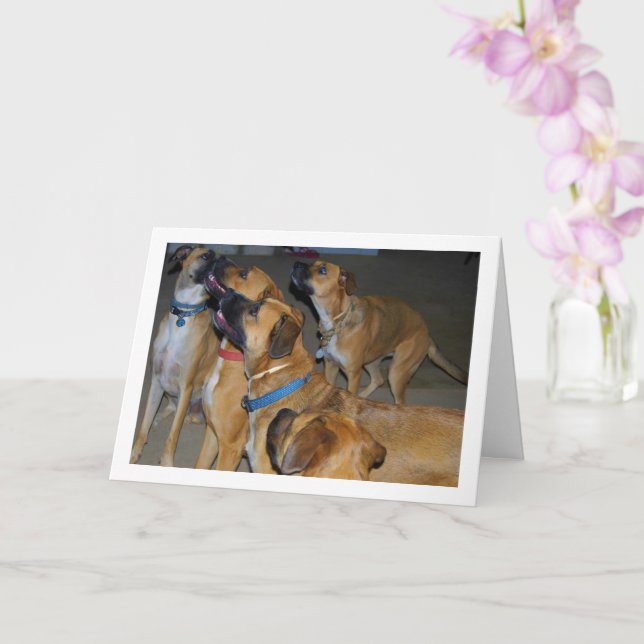 Dogs Sitting for Food Portrait Card (Orchid)