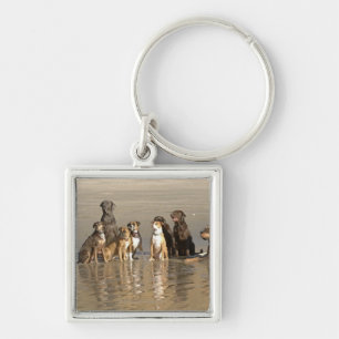 Dogs sitting on beach key ring
