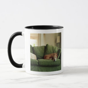 Dogs sleeping on sofa mug