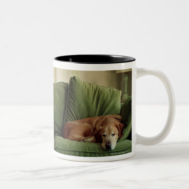Dogs sleeping on sofa Two-Tone coffee mug (Right)