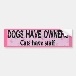 Dogs vs. Cats Bumper Sticker