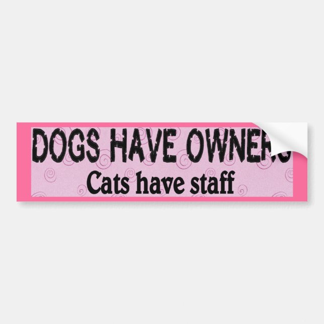 Dogs vs. Cats Bumper Sticker (Front)