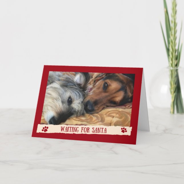 Dogs Waiting For Santa - Funny Card from the Dogs (Front)