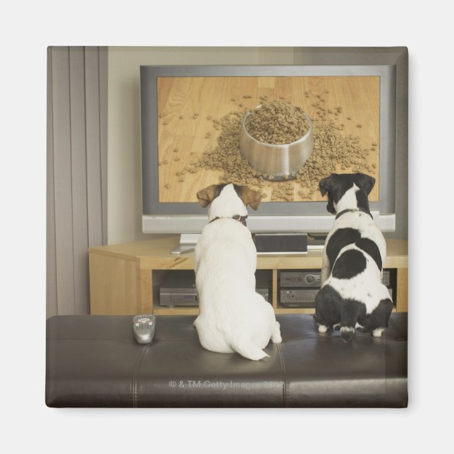 Dogs watching dog dish with food on TV Magnet (Front)
