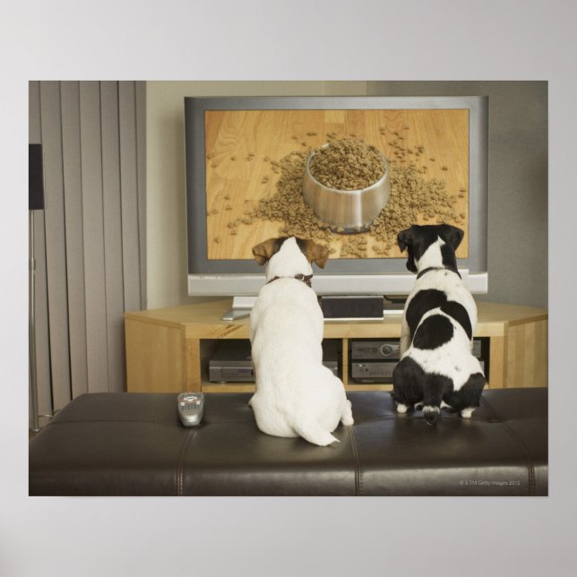 Dogs watching dog dish with food on TV Poster (Front)