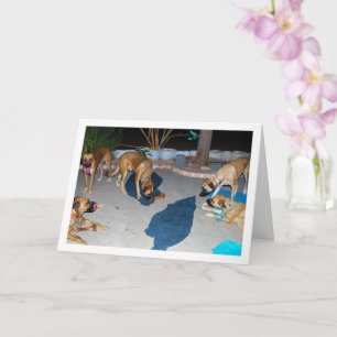 Dogs with Bones and towels Card