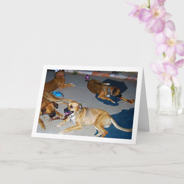 Dogs with Bones and towels Card (Orchid)