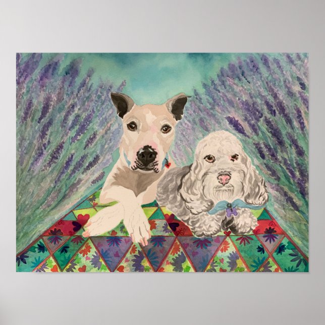 Dogs with quilt in lavender field poster (Front)