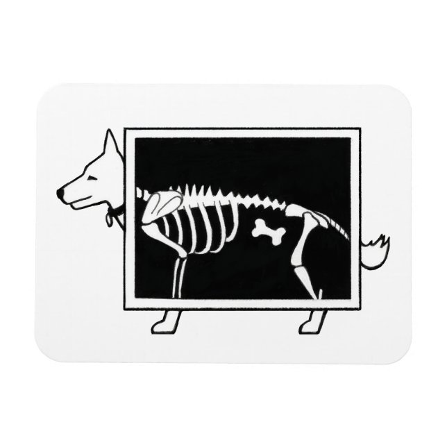 Dog's X-Ray Magnet (Horizontal)