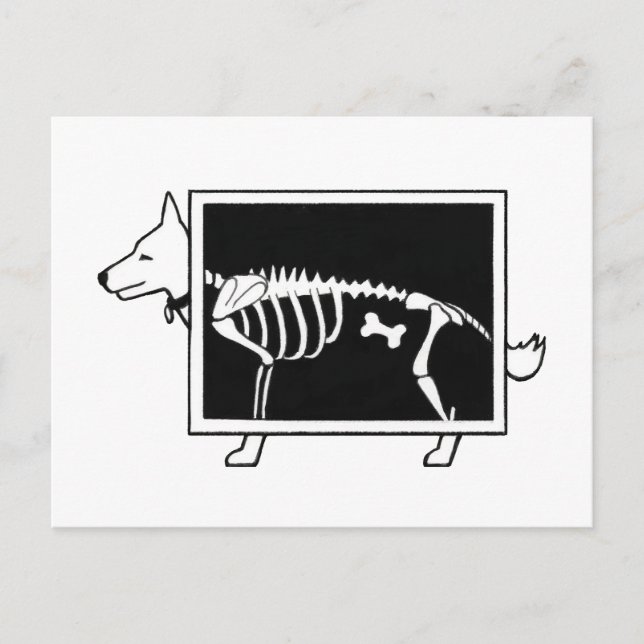 Dog's X-Ray Postcard (Front)