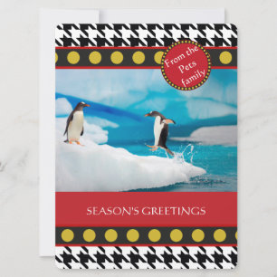 Dogtooth, Houndstooth Christmas range Holiday Card