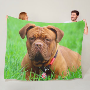 , DOGUE de BORDEAUX, aka FRENCH MASTIFF Fleece Blanket