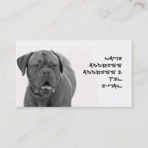 Dogue de Bordeaux business card