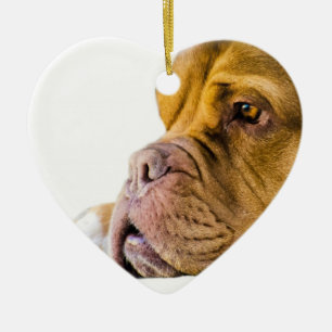 Dogue de Bordeaux Ceramic Ornament