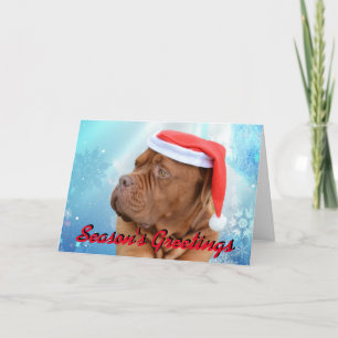 Dogue de Bordeaux Christmas card