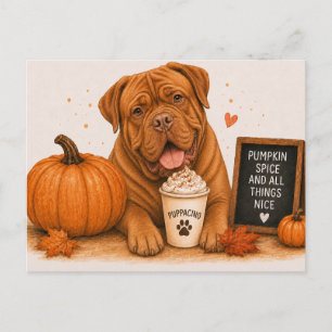 Dogue de Bordeaux Cozy Pumpkin Spice Postcard