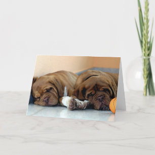 Dogue De Bordeaux Dog Blank Greeting Card